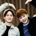 [EXO] 둘기들이 웃긴게