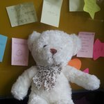 [드루와] 인형이름지어줰ㅋㅋ