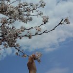 스마트폰으로사진<b>찍기</b>ㅎ