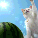 이<b>노무</b>새키드라..