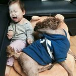[EXO] 근데 <b>이개</b> 설마 몽구야??