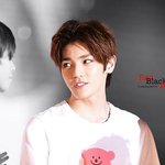 [태용] 태용이는 나의 <b>시츄</b>야