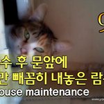 [람쥐] 9편 - <b>문앞</b>에 얼굴만 빼꼼히 내놓은 람쥐_시즌1