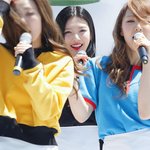 [레드벨벳] 덕질하게 만드는 조이
