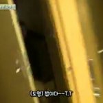 [태용] 우리용이도 밥오면 <b>환장</b>하는구나ㅠㅠ