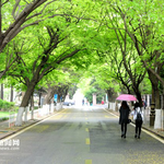 [<b>청도</b>여행] <b>청도</b> 팔대관 풍경