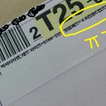 회사로 비키니 배송시켰다가 개망