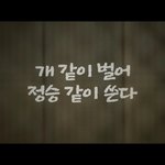 남친도 없으니 오달수 따라 여행이나 가려고...