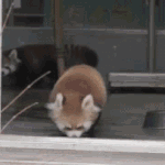 [EXO] 핏짜스쿨은 고규마핏짜가 제일 <b>맛남</b>?