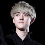 [EXO] 나 샤22니 팬석인데 <b>하아</b>