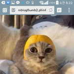 [댓글부탁] 『필독!!』왜 남자가하면 쓰레기고 여자가 하면......