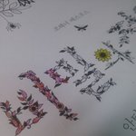 [EXO] 비밀의정원 <b>색칠</b>하고있는데