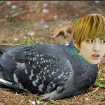 [EXO] 타오랑 레이도 <b>필터</b>링 하고싶다