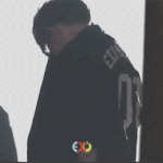 [EXO] 정상팬들 다 어디갔어?