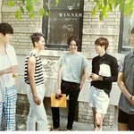 [위너] <b>내</b>가 <b>입</b>덕한지 얼마 안됬는데 도와줘!