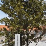 개신교의 <b>항일</b>운동 - 손양원 목사