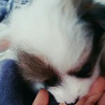 [EXO] 헐 나도 이름지어줘