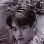 [백현] 백현 <b>포켓</b>폴더 스캔본