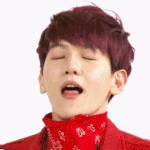 [EXO] 탈덕 존나 <b>요란</b>스럽게하는애들 만약 이그조가