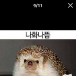 [<b>방탄소년단</b>] 방탄 욕하지마