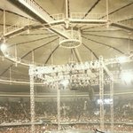 [EXO] 콘서트사진복습하는데