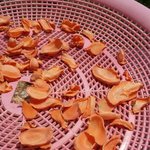 당근말랭이 잘먹는 <b>럭키</b>