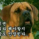 [EXO] 와나 진심 오랜만에 <b>이누야샤</b> 봤는데