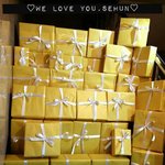 [EXO] <b>조공</b> 궁금한게