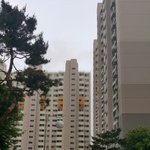 남자는 첫사랑을 못잊는다.