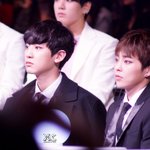 [EXO] 개색뀌량 냥새뀌 