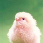 [exo] <b>오줌</b> 제발 부메랑 더 쳐맞게 해주세요