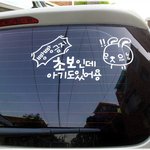 [초보운전] * 재미있는 사진 ^^ *
