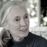 세계적인 동물학자 ‘제인 구달’도 뜨거운 찬사! <잡식가족의 딜레마>...