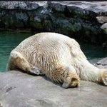 [댓글부탁해] 만약에 너희<b>주위</b>에