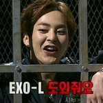 [EXO] 얘들아 이 인형 살까말까