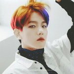 [EXO] 할리퀸 사진 뿌린다