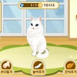 [고양이] 진짜  씹덕 게임 등장