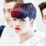 [EXO] 야 이 <b>할리퀸</b> 쩐다 ㅅㅂ