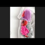 임신이 이럴줄이야