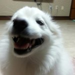 안녕하세요  울똘이  <b>자랑</b>할려구요