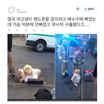 여자가 가슴이 크면 <b>장수</b> 하는법이다