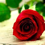 [<b>대접</b>판] ##0514 모든<b>사람</b>들이<b>대접</b>받는판
