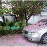 [<b>유익</b>한글] * 위대한 일을 하려면 소유를 줄여라 *