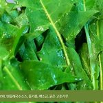 계절밥상 하얀민들레국수<b>무침</b> 집에서 간단하게 만들기