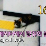 [람쥐] 16편 - 엘리베이터에서 람쥐와 놀기_<b>시즌</b>1