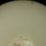 [꼭봐주세요] <b>롯</b>*<b>리</b>*콜라에서벌레있네요