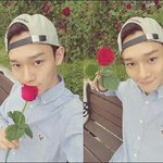 [EXO] 종대 로즈데이라서 <b>장미꽃</b>이랑