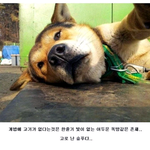 [<b>일간</b>개그] 셀카