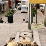 [강<b>말년</b>] 고양이 좋아해? 덕후모여