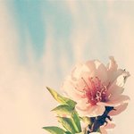 [조언부탁해] 짝사랑 진행 중